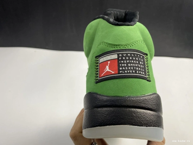 Chep Onekick SE Jordan Air Ducks Oregon 5 CK6631-307 0531